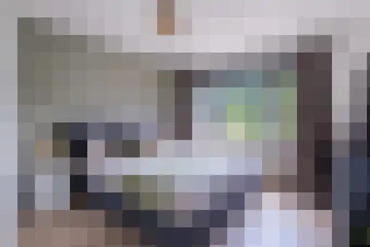 Wergeasterdyk 7 Goutum thumbnail 38