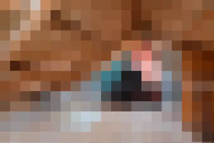 Wergeasterdyk 7 Goutum thumbnail 41