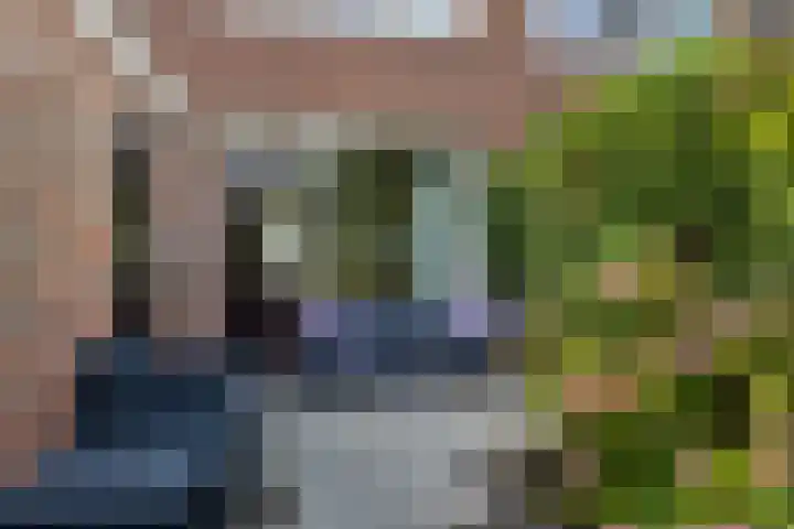 Wergeasterdyk 7 Goutum thumbnail 45