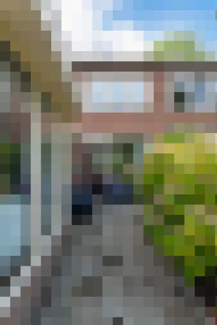 Wergeasterdyk 7 Goutum thumbnail 46