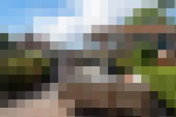 Wergeasterdyk 7 Goutum thumbnail 50