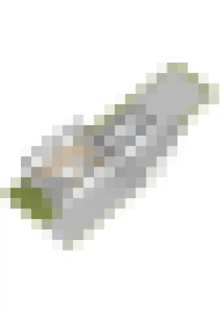 Wergeasterdyk 7 Goutum thumbnail 60