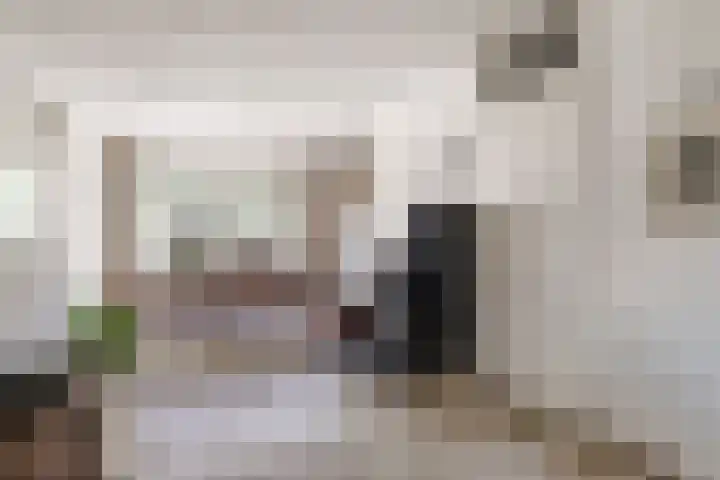 Weringedonk 3 Helmond thumbnail 13