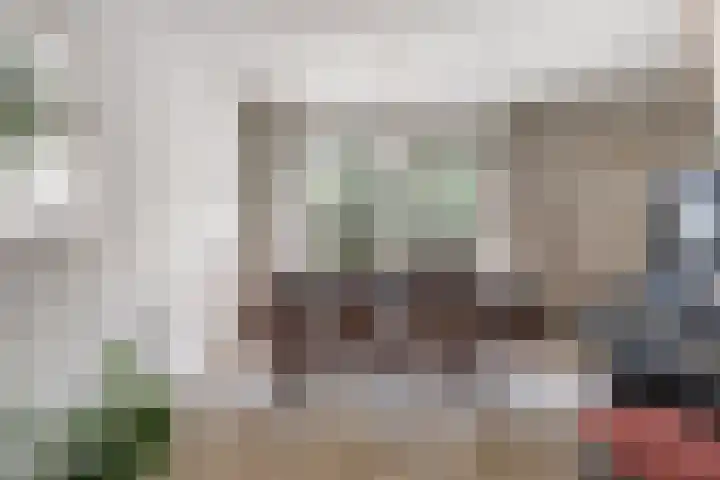 Weringedonk 3 Helmond thumbnail 14
