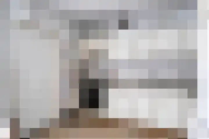 Weringedonk 3 Helmond thumbnail 15