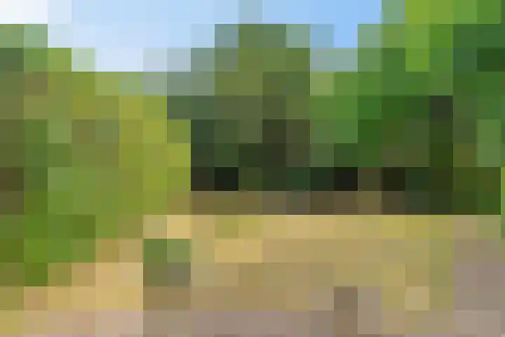 Weringedonk 3 Helmond thumbnail 32