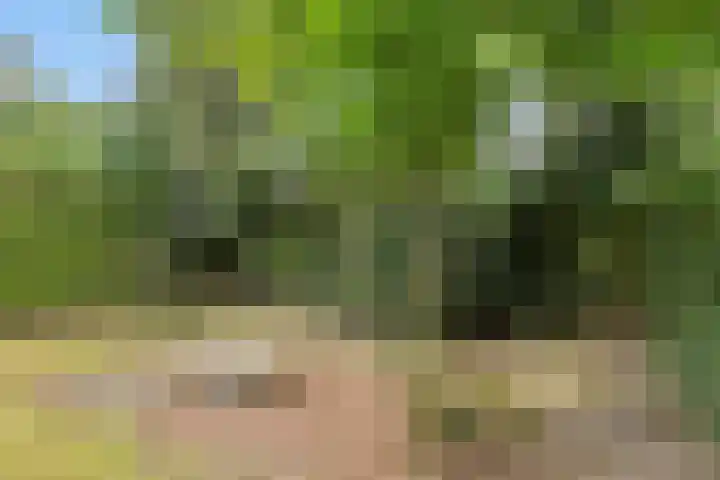 Weringedonk 3 Helmond thumbnail 34