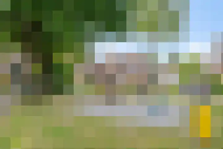 Weringedonk 3 Helmond thumbnail 37