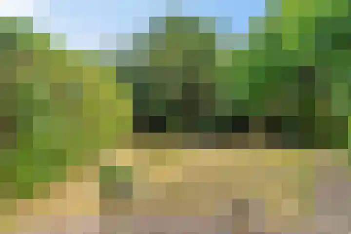 Weringedonk 3 Helmond thumbnail 5