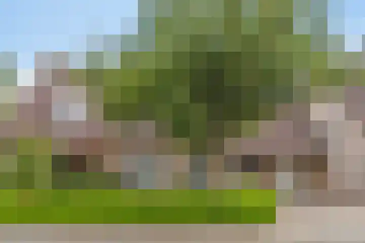 Weringedonk 3 Helmond thumbnail 6