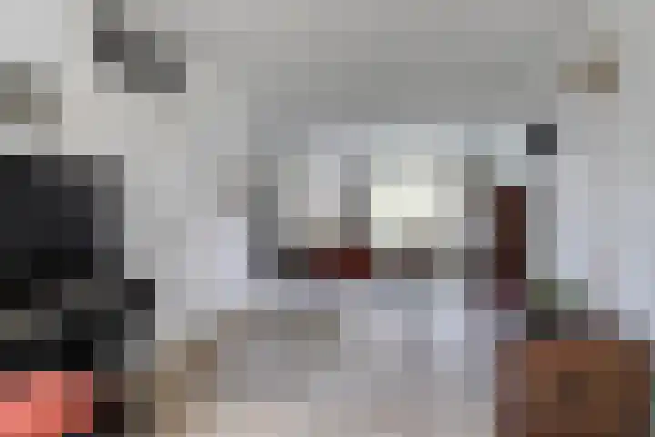 Weringedonk 3 Helmond thumbnail 9