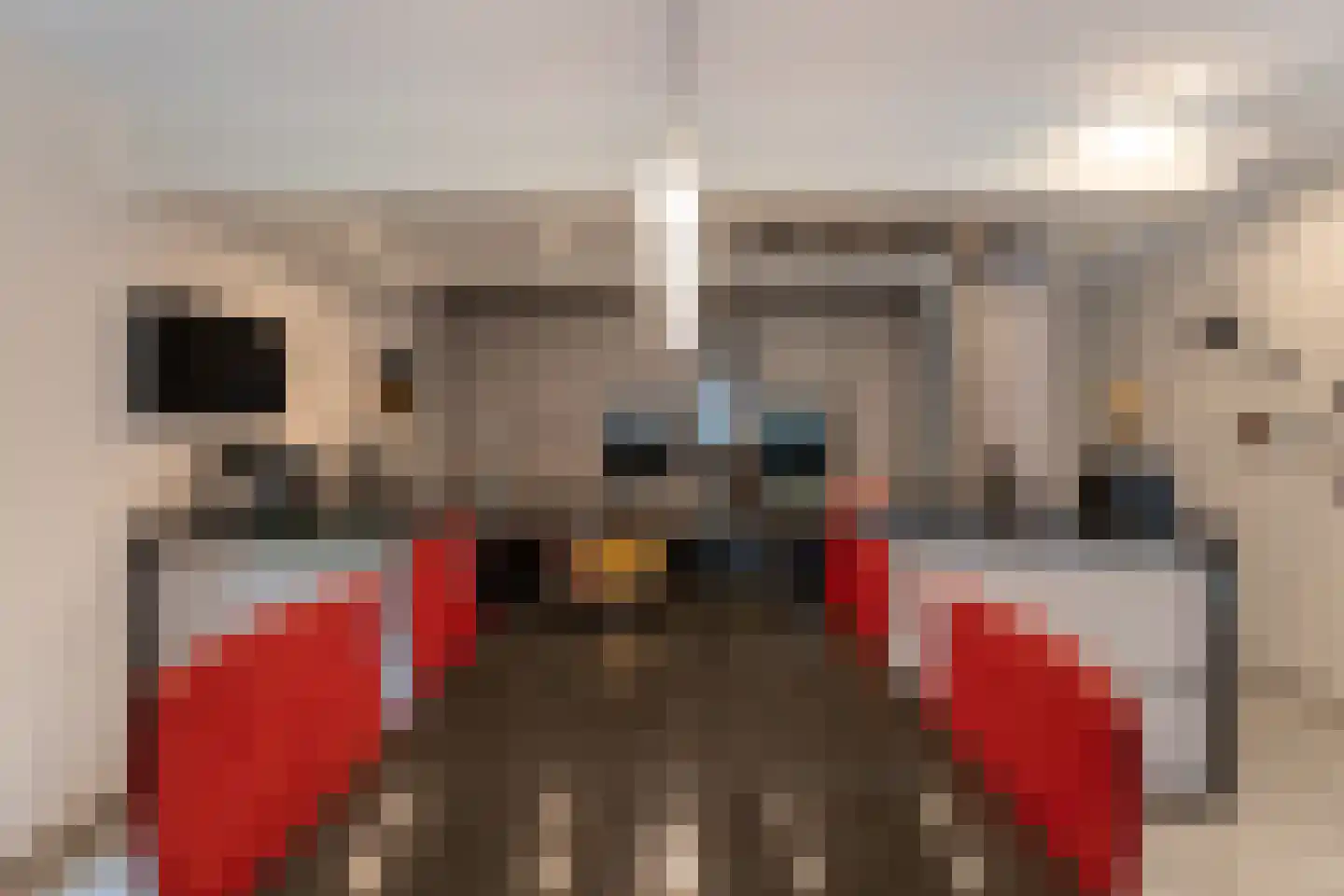 Werkdroger 10 Laren thumbnail 14