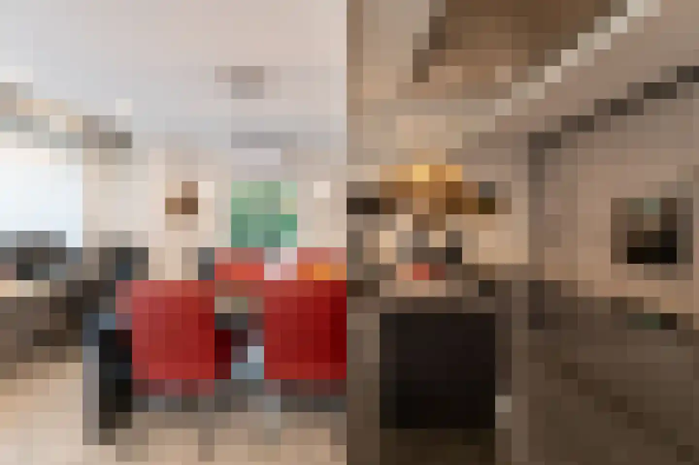 Werkdroger 10 Laren thumbnail 15