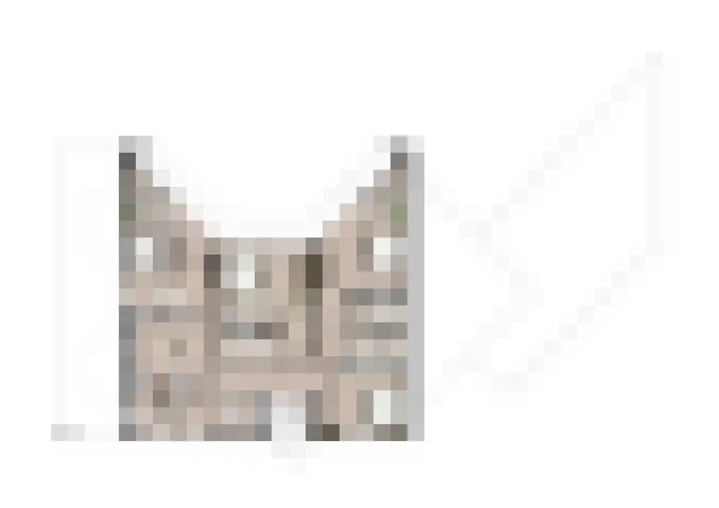 Werkdroger 10 Laren thumbnail 20