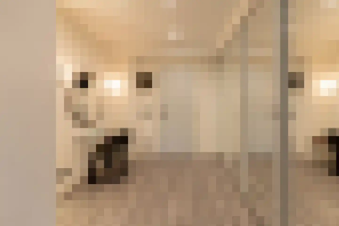 Werkdroger 10 Laren thumbnail 21