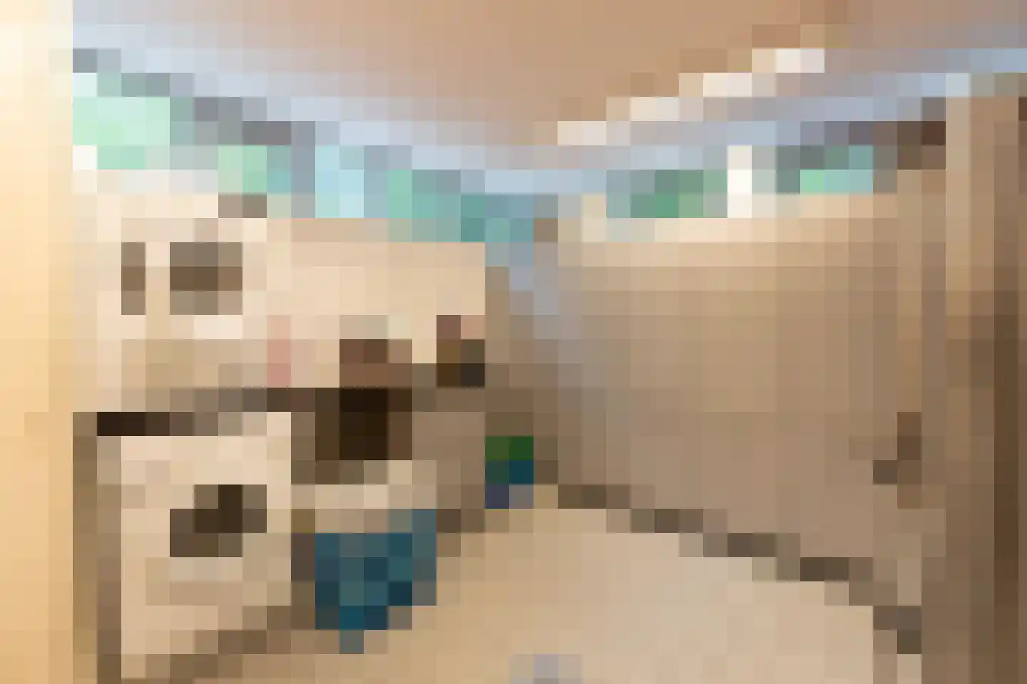 Werkdroger 10 Laren thumbnail 25