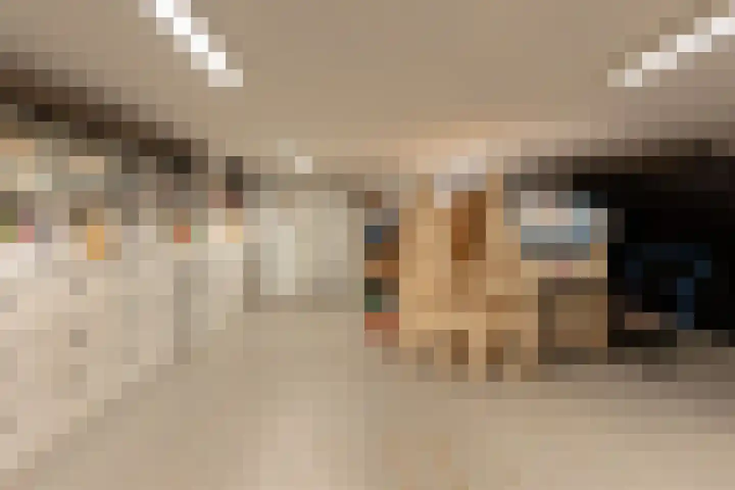 Werkdroger 10 Laren thumbnail 27