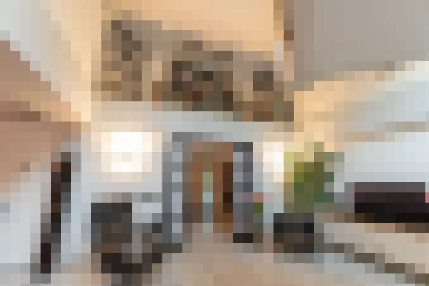 Werkdroger 10 Laren thumbnail 35