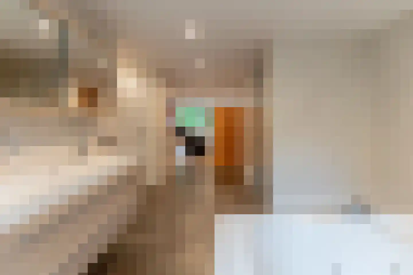 Werkdroger 10 Laren thumbnail 40