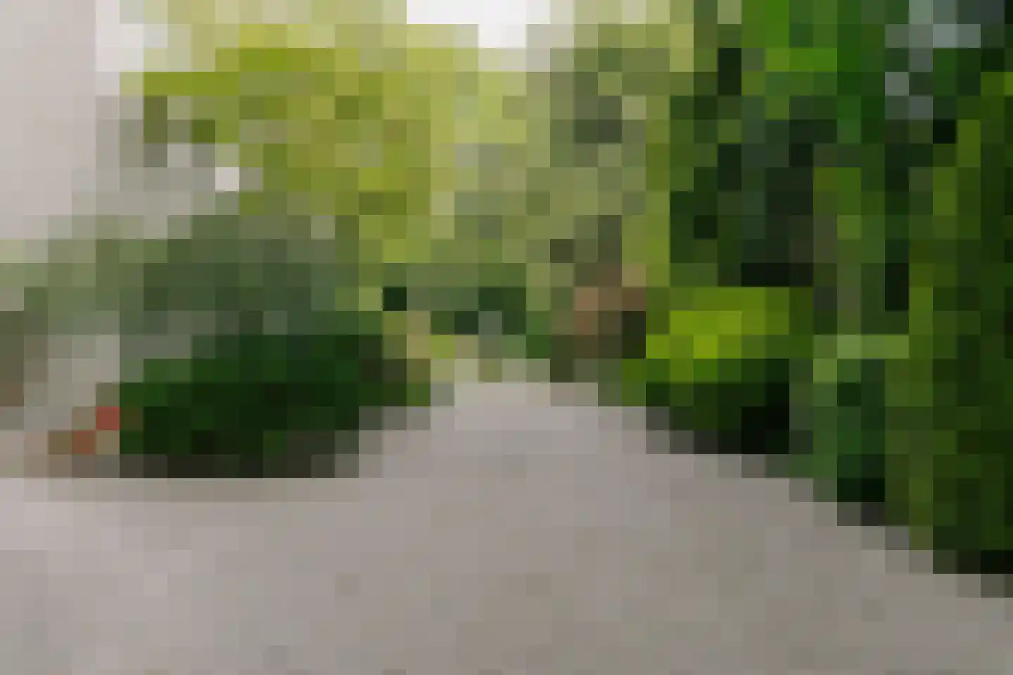 Werkdroger 10 Laren thumbnail 50