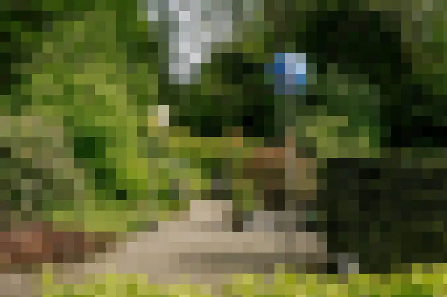 Werkdroger 10 Laren thumbnail 6