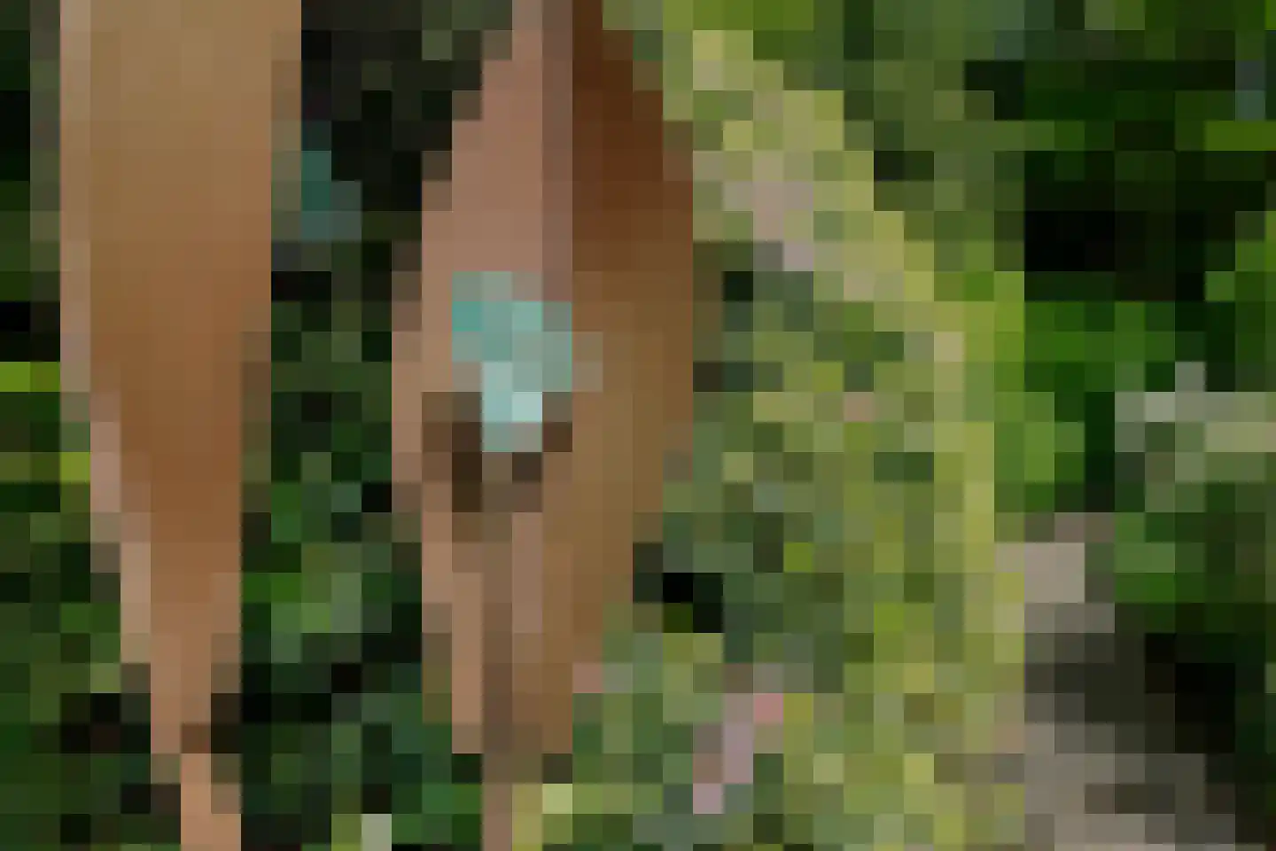 Werkdroger 10 Laren thumbnail 7