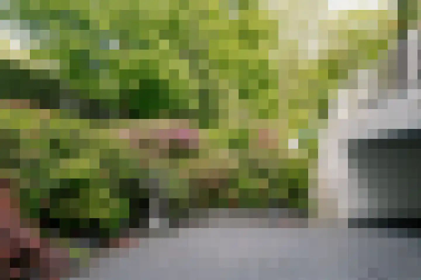 Werkdroger 10 Laren thumbnail 8