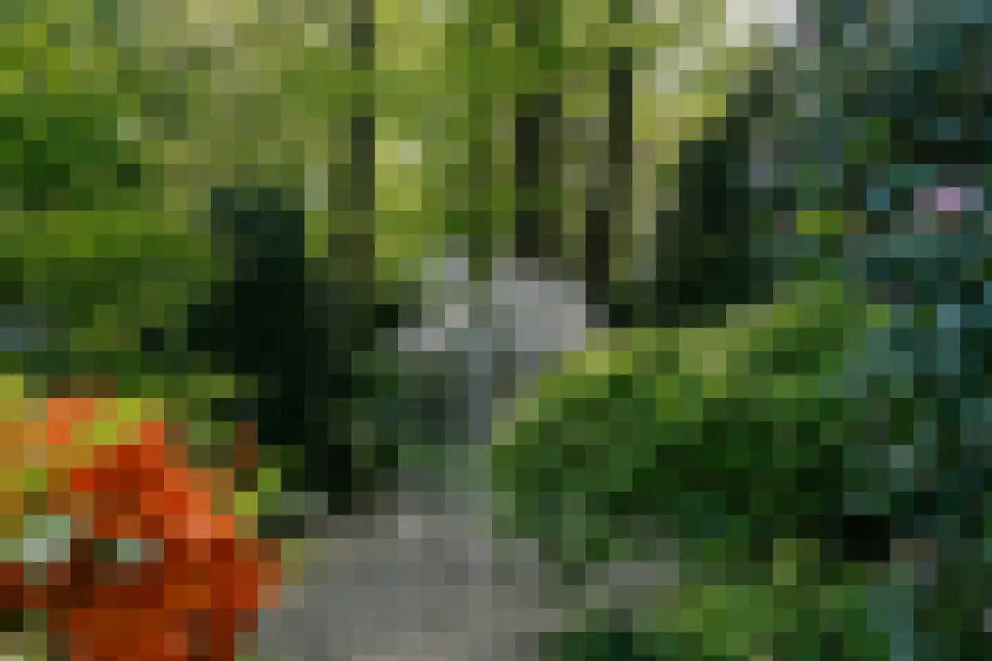 Werkdroger 10 Laren thumbnail 9