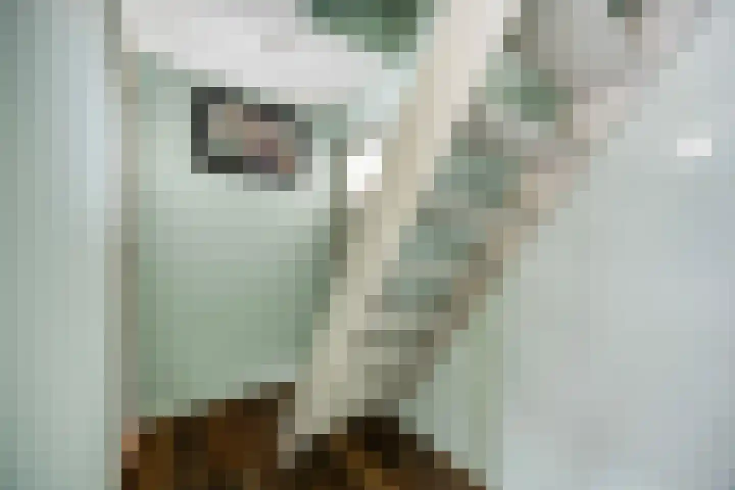 Werkendelslaan 35 Heiloo thumbnail 21