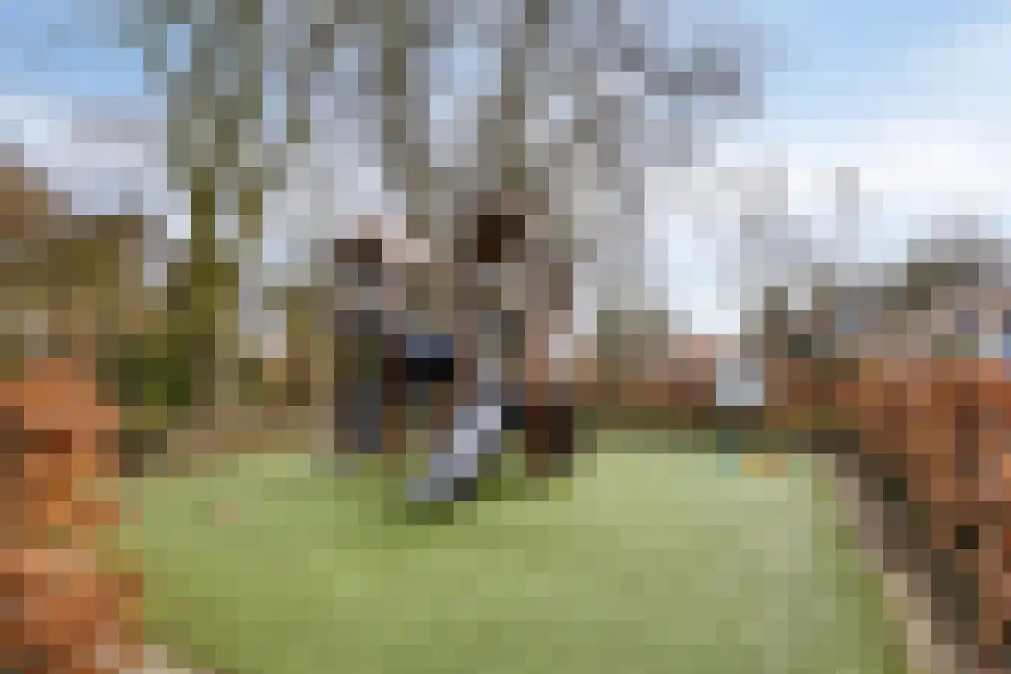 Werkendelslaan 35 Heiloo thumbnail 35