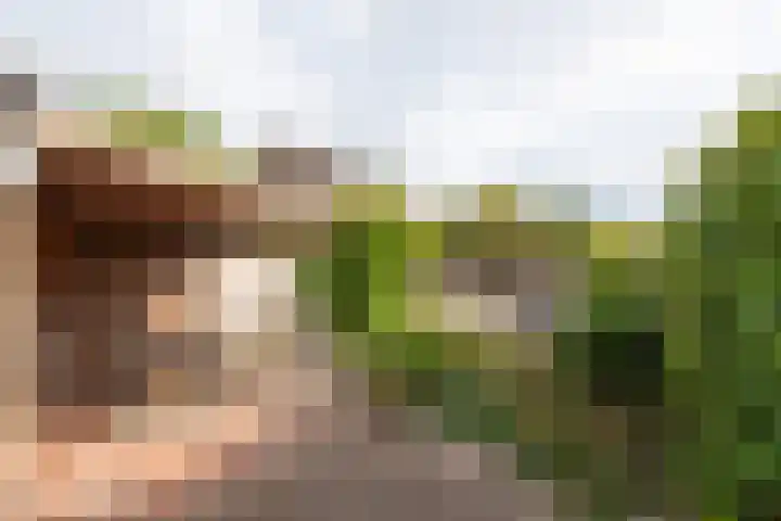 Werkendelslaan 42 Heiloo thumbnail 38