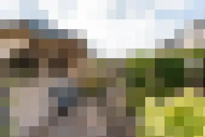 Werkendelslaan 42 Heiloo thumbnail 39