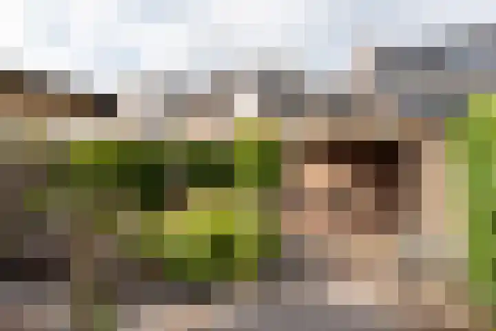Werkendelslaan 42 Heiloo thumbnail 40