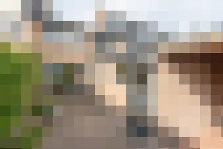 Werkendelslaan 42 Heiloo thumbnail 41
