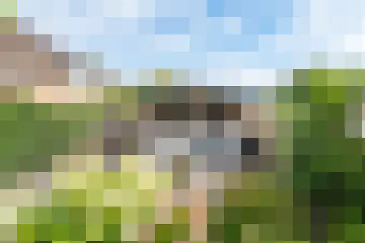Werkendelslaan 42 Heiloo thumbnail 45