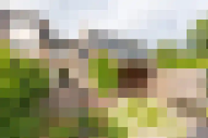 Werkendelslaan 42 Heiloo thumbnail 5