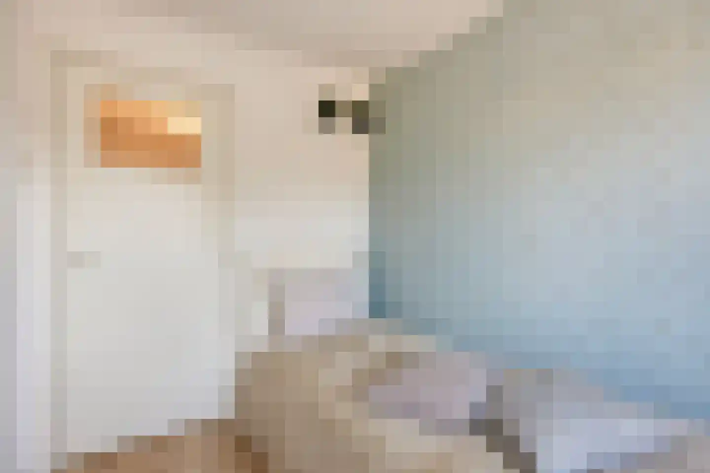 Werkendelslaan 47 Heiloo thumbnail 25