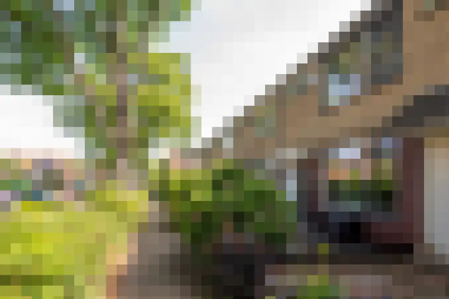 Werkendelslaan 8 Heiloo thumbnail 38
