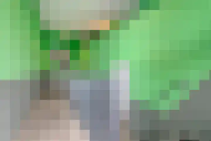 Werkerlaan 103 Zwolle thumbnail 10