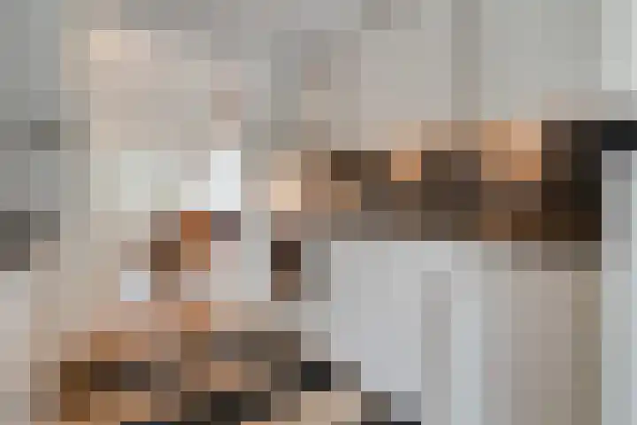 Werkerlaan 103 Zwolle thumbnail 19