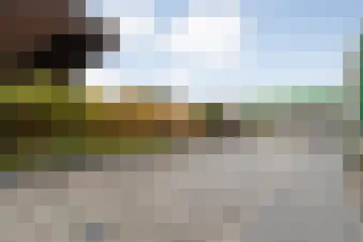 Werkerlaan 103 Zwolle thumbnail 34
