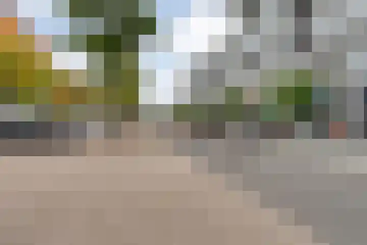 Werkerlaan 103 Zwolle thumbnail 35