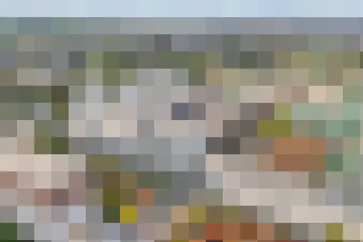 Werkerlaan 103 Zwolle thumbnail 37