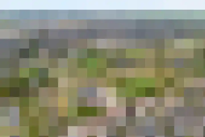 Werkerlaan 103 Zwolle thumbnail 38