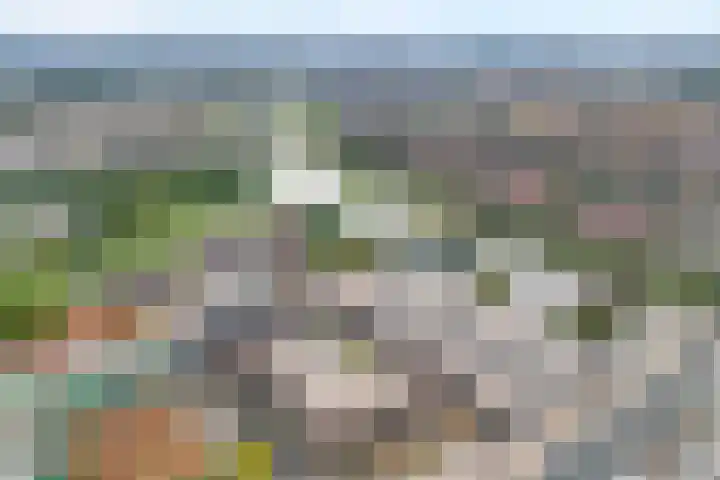 Werkerlaan 103 Zwolle thumbnail 39