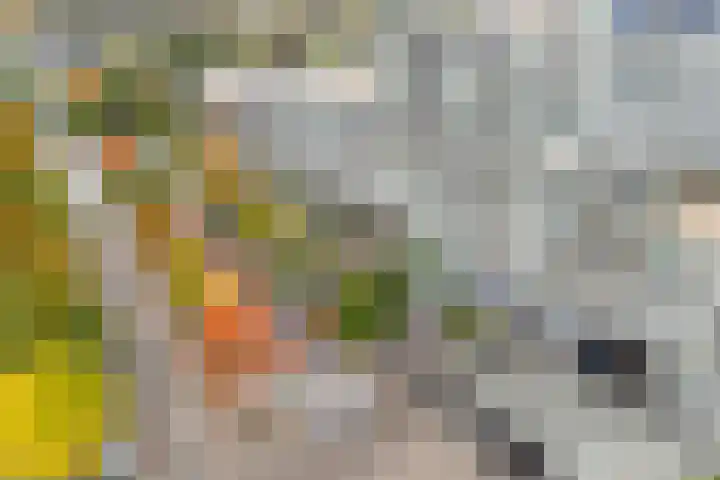 Werkerlaan 103 Zwolle thumbnail 4