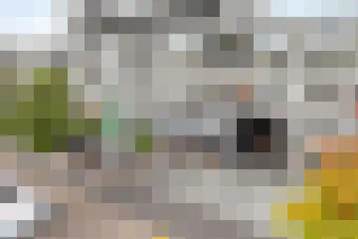 Werkerlaan 103 Zwolle thumbnail 5