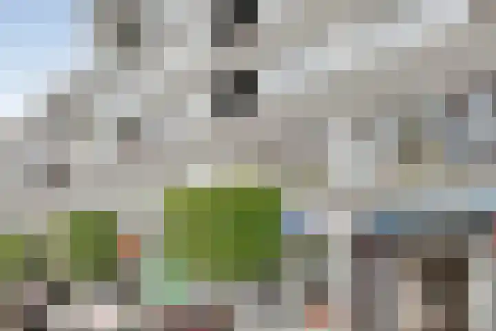 Werkerlaan 103 Zwolle thumbnail 7