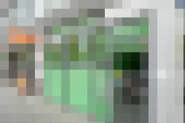 Werkerlaan 103 Zwolle thumbnail 8
