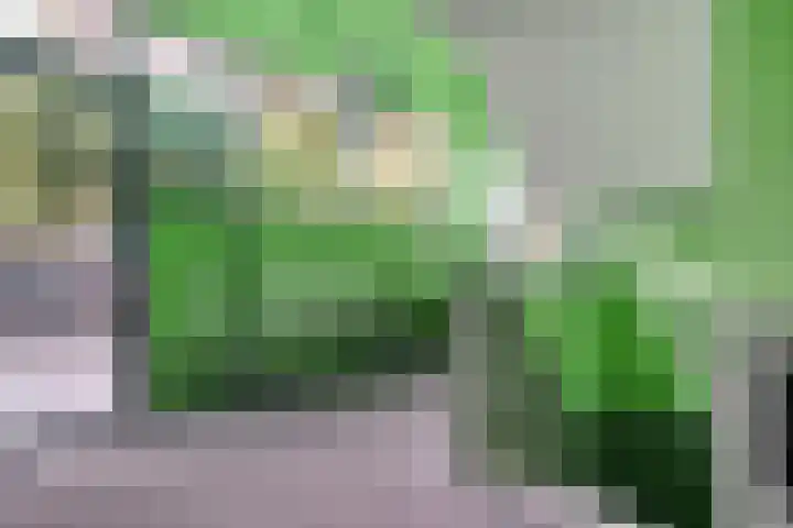 Werkerlaan 103 Zwolle thumbnail 9